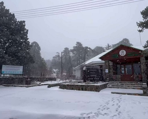 xionia troodos tmima daswn