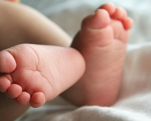 Screenshot 2026 03 03 223920