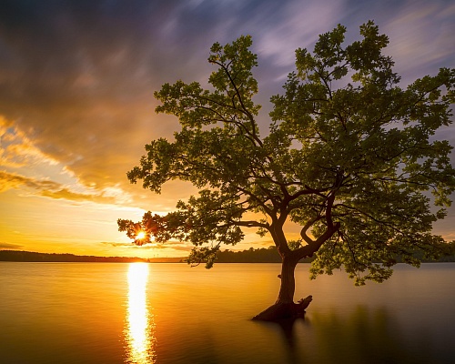 ΚΑΙΡΟΣ: Παροδικές νεφώσεις, τοπικές βροχές και ανοιξιάτικη θερμοκρασία ΚΑΙΡΟΣ: Παροδικές νεφώσεις, τοπικές βροχές και ανοιξιάτικη θερμοκρασία