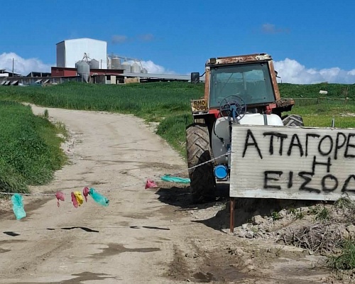 Εφιαλτικές προβλέψεις: Μπορεί να χρειαστούν δύο χρόνια για να ανακάμψουν οι κτηνοτρόφοι από τον αφθώδη πυρετό Εφιαλτικές προβλέψεις: Μπορεί να χρειαστούν δύο χρόνια για να ανακάμψουν οι κτηνοτρόφοι από τον αφθώδη πυρετό